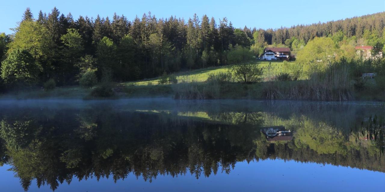 Ferienwohnungen Ludwigsthal Exterior foto